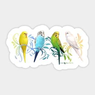 Colorful Parakeets Sticker